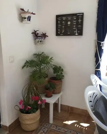 Apartamento Euromar Playa Peñíscola